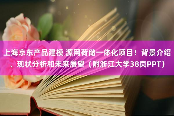 上海京东产品建模 源网荷储一体化项目！背景介绍、现状分析和未来展望（附浙江大学38页PPT）