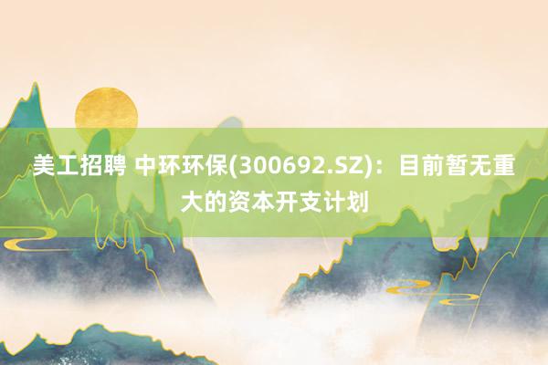 美工招聘 中环环保(300692.SZ)：目前暂无重大的资本开支计划