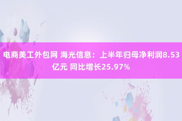 电商美工外包网 海光信息：上半年归母净利润8.53亿元 同比增长25.97%